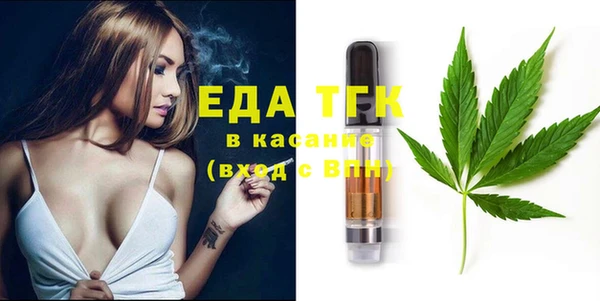индика Алексин