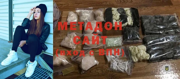 индика Алексин