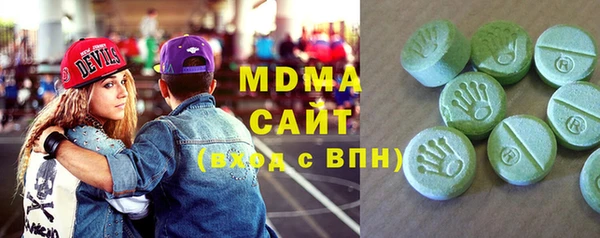индика Алексин