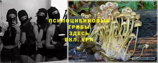 ГАЛЛЮЦИНОГЕННЫЕ ГРИБЫ Алексеевка