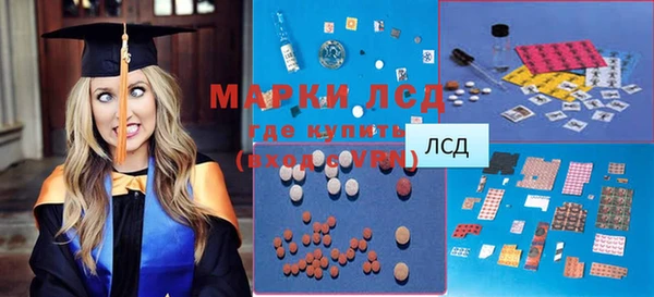 индика Алексин
