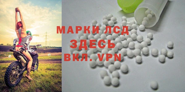 ГАЛЛЮЦИНОГЕННЫЕ ГРИБЫ Алексеевка