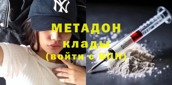 индика Алексин