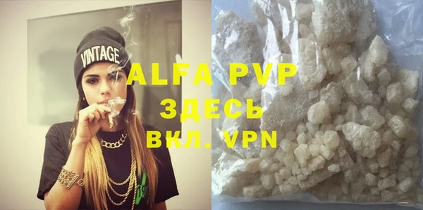 индика Алексин