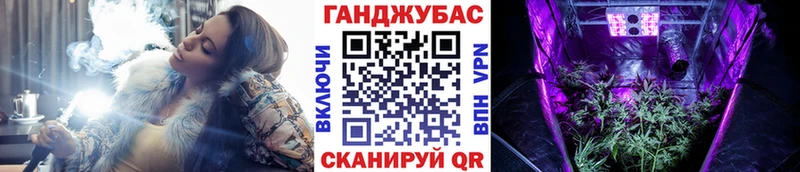 Шишки марихуана сатива Межгорье